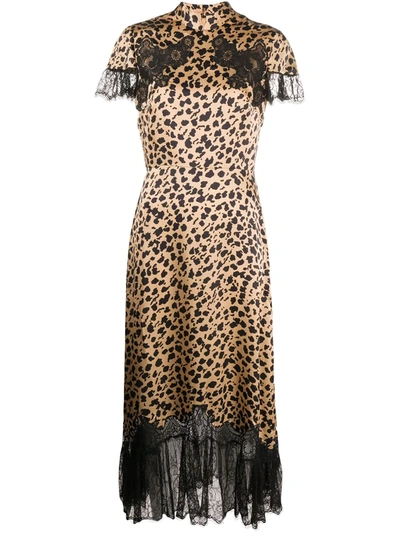 Saloni + Venyx Ryder Lace-trimmed Leopard-print Silk-satin Midi Dress In Neutrals