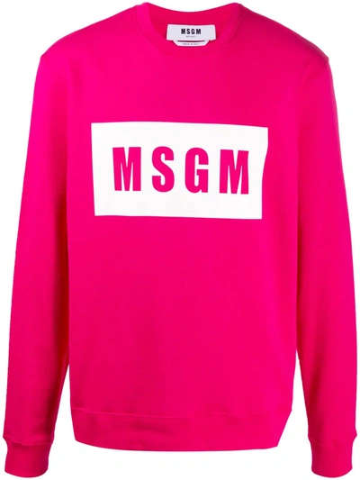 Msgm Logo Print Crew Neck Sweatshirt In Pink