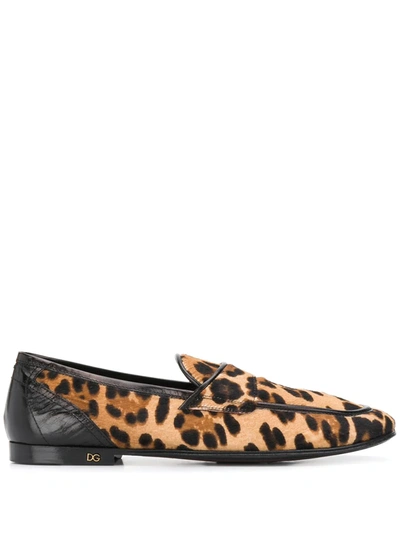Dolce & Gabbana Leopard Print Slippers In Brown