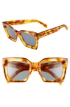 Celine 51mm Square Sunglasses In Blonde Havana/ Blue