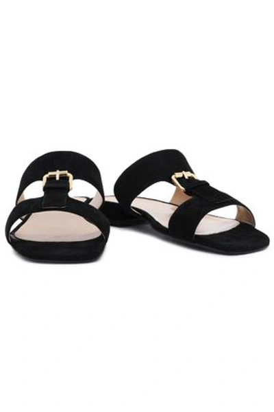 Sergio Rossi Buckle-detailed Suede Sandals In Black