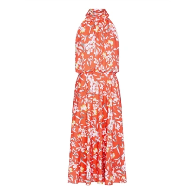 Adrianna Papell Tea Time Floral Print Midi Dress In Coral Multi