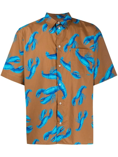 Msgm Lobster-print Cotton Shirt In Brown
