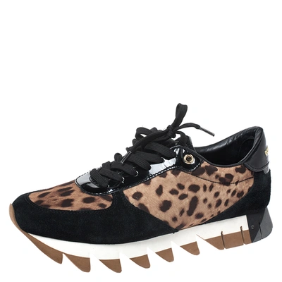 Pre-owned Dolce & Gabbana Brown Leopard Print Canvas And Black Suede Low Top Sneakers Size 40
