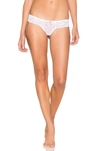 Eberjey Anouk Classic Lace Thong In White