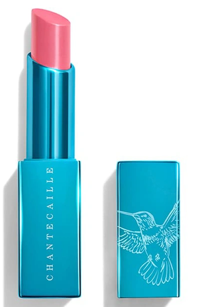 Chantecaille Hummingbird Lip Chic Lip Gloss In Lupine
