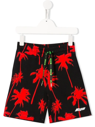 Msgm Kids' Palm Tree-print Shorts In Black