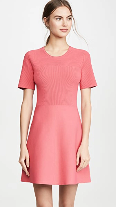 Theory Otto Ribbed Knit Flare Dress In Watermelon