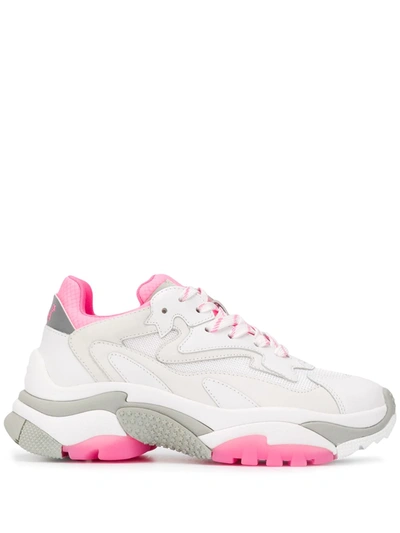 Ash Addict White Fuchsia Sneaker