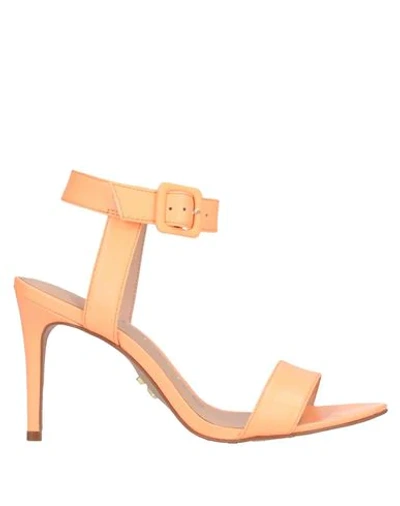 Carrano Sandals In Orange