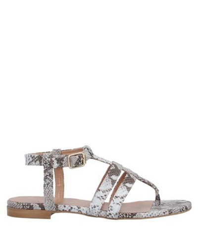 Twinset Toe Strap Sandals In Grey