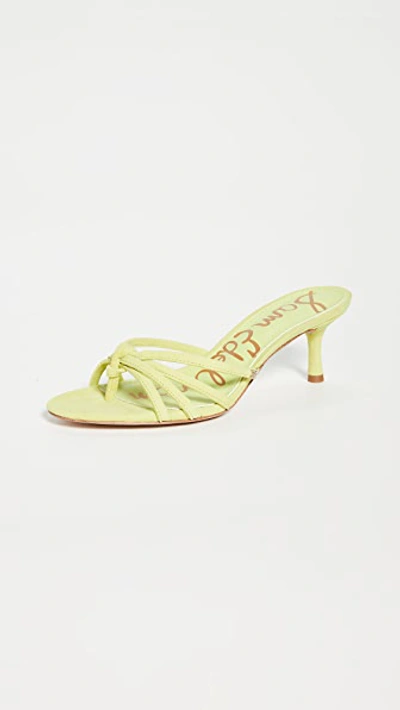 Sam Edelman Jedda Mid-heel Thong Sandals Women's Shoes In Lime Cocktail Leather