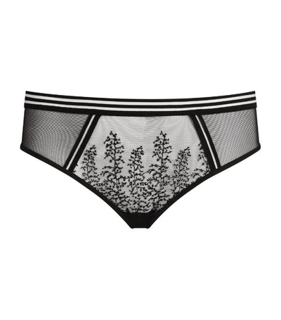 Aubade Mesh Lace Hipster Briefs