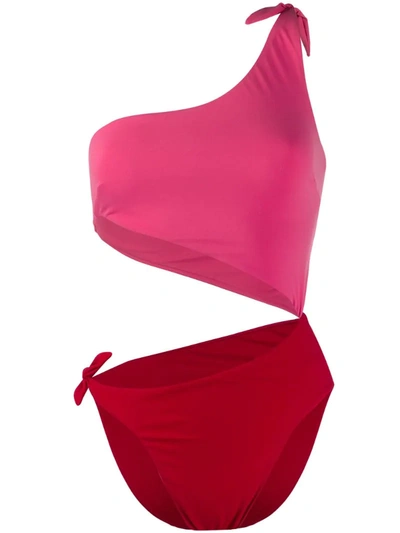 Sian Swimwear Carmen Two-tone Swimsuit In Pink