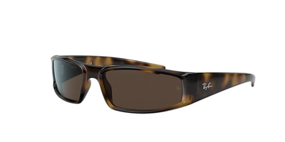 Ray Ban Ray In Brown