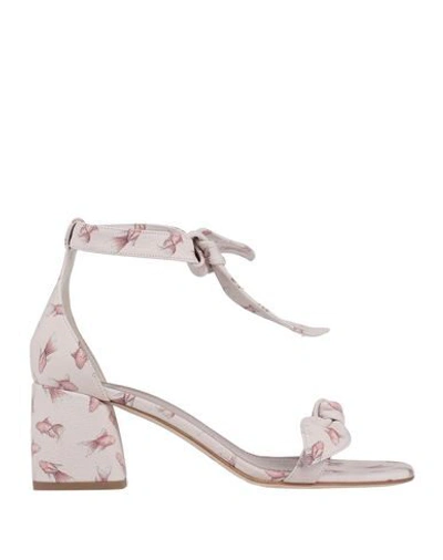 Gianna Meliani Sandals In Light Pink