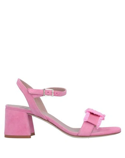 Gianna Meliani Sandals In Pink