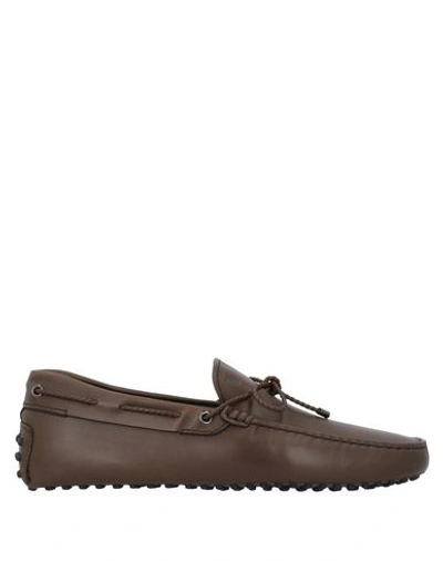 Tod's Loafers In Dark Brown