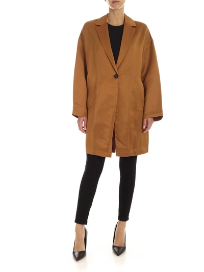 Semicouture Adelaide Single-breasted Jacket In Amber Colour In Brown