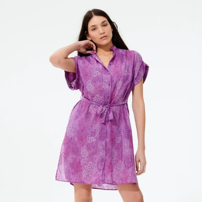 Vilebrequin Shirt Dress In Purple