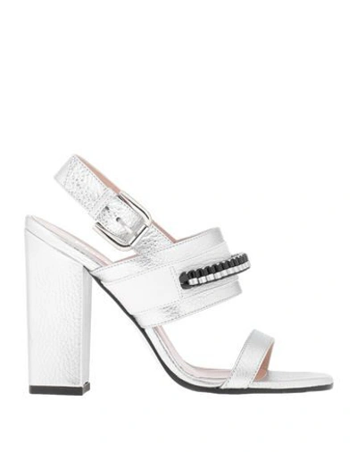 Pollini Sandals In Silver