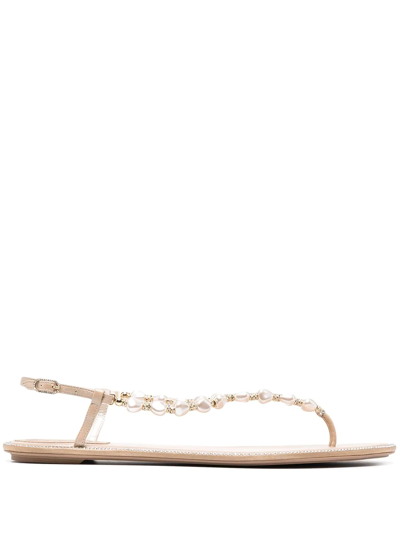 René Caovilla Embellished Thong Sandals In Nude