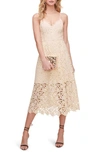 Astr Lace Midi Dress In Buttercream