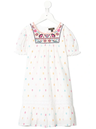 Velveteen Kids' Vanessa Embroidered Dress In Multicolour