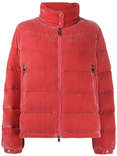 Moncler Ladies Copenhague Silk Blend Devore Velvet Jacket In Pink