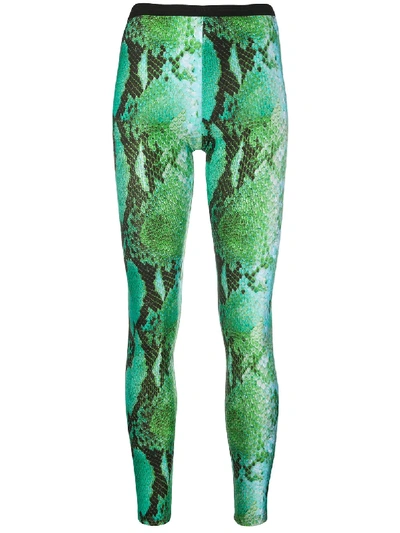 Msgm Snake Skin Effect Leggings In Green