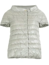 Herno Shortsleeved Puffer Jacket In Grey