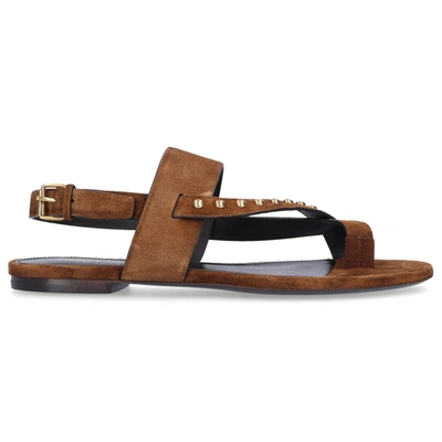 Saint Laurent Flip Flops Gia 05 In Brown