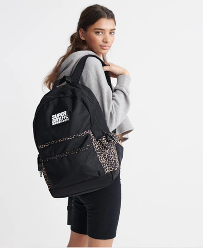 Superdry Block Edition Montana Rucksack In Black | ModeSens