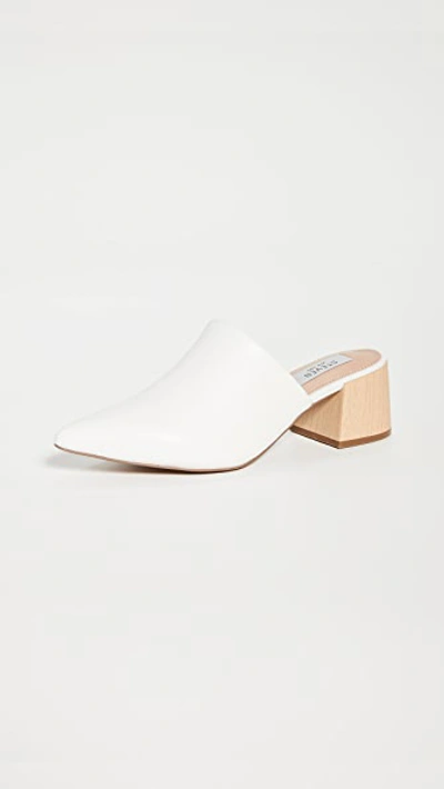 Steven Fannie Mules In White