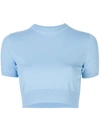 Alexis Finzi Cropped Top In Blue