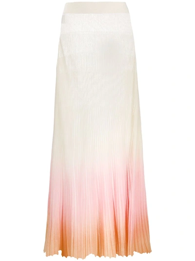 Jacquemus Shaded Ribbed Midi Skirt In Neutrals