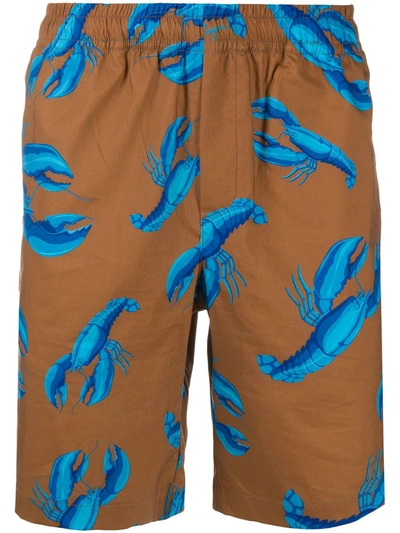 Msgm Lobster-print Bermuda Shorts In Brown