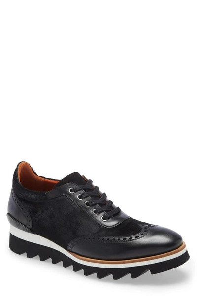 Ike Behar Blazer Genuine Calf Hair Wingtip In Black