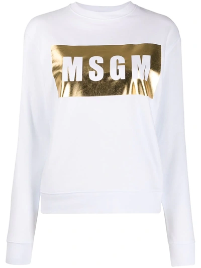 Msgm Metallic Logo Jumper In White