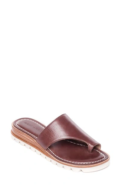 Bernardo Jessi Toe-strap Flat Sandals In Hot Chocolate Leather