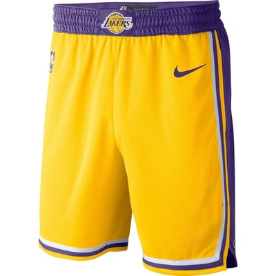 Nike Youth Los Angeles Lakers 2020/21 Swingman Shorts - Icon Edition In Amarillo/field Purple