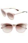 Kate Spade Britton 55mm Cat Eye Sunglasses In Pink/ Brown