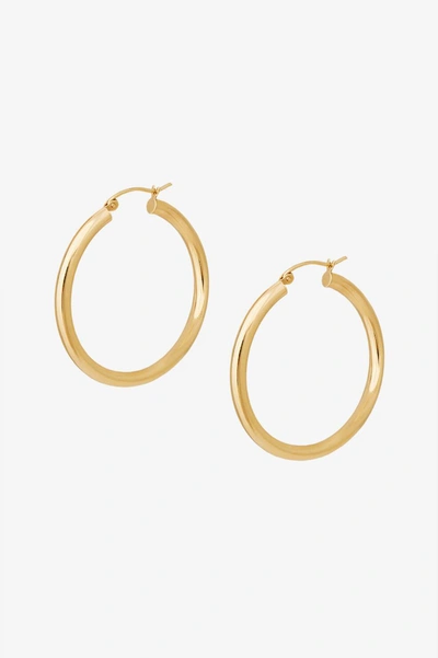 Anine Bing Hoop Earrings In Gold In 14k Yellow Gold