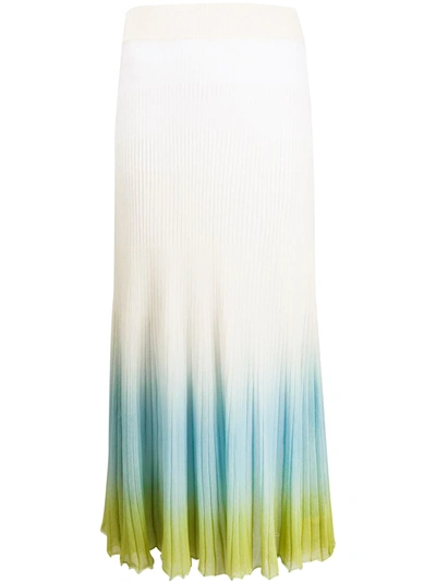 Jacquemus Multicoloured Pleated Skirt In Neutrals