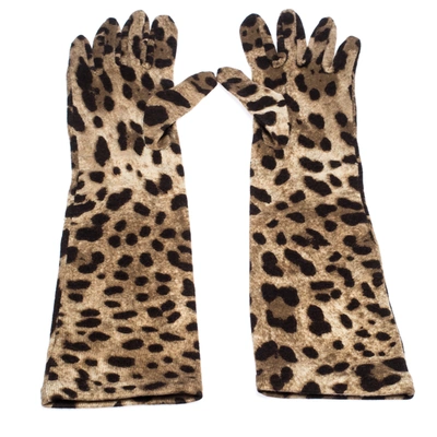 Pre-owned Dolce & Gabbana Brown Leopard Print Wool Long Gloves S