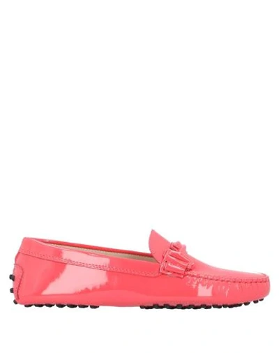 Tod's Loafers In Pink