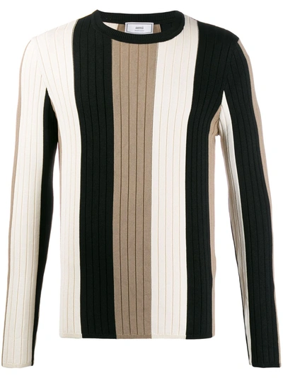 Ami Alexandre Mattiussi Striped Crewneck Sweater In Neutrals