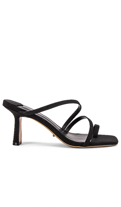 Tony Bianco Blossom Sandal In Black