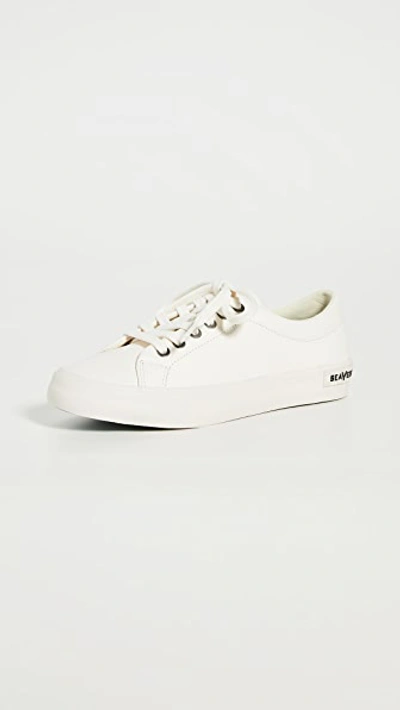 Seavees Gallery Sneakers In White