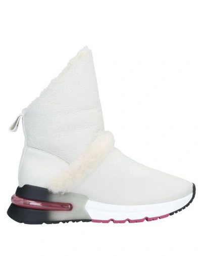 Ash Ankle Boots In White